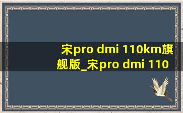 宋pro dmi 110km旗舰版_宋pro dmi 110km旗舰版落地价